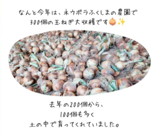 た、たくさんだ…！！
